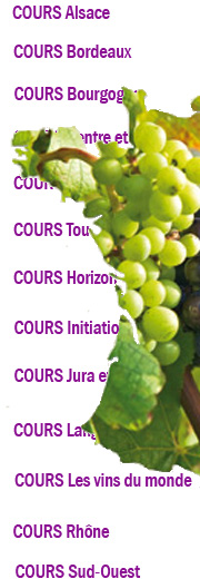 Cours Dégustation
