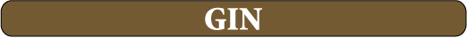 Gin